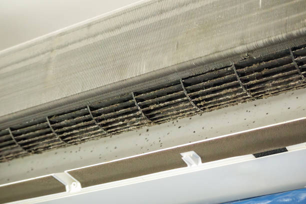 Best Ventilation Cleaning Services  in Greenville, OH